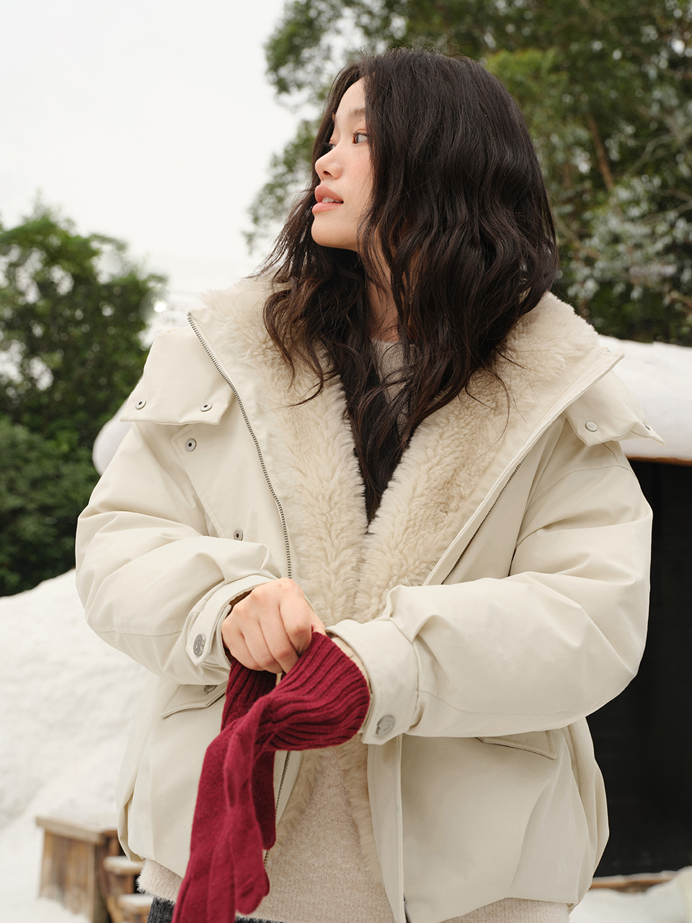 Hooded Stand Collar Down Jacket